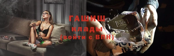 прущие грибы Аркадак