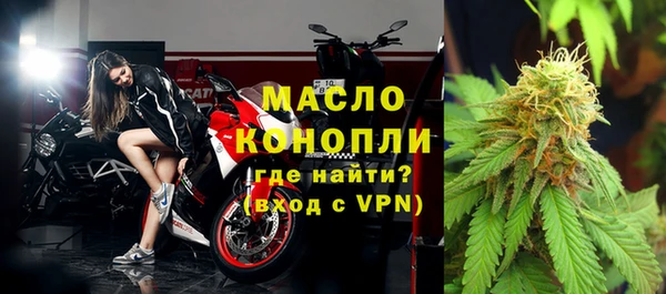 прущие грибы Аркадак