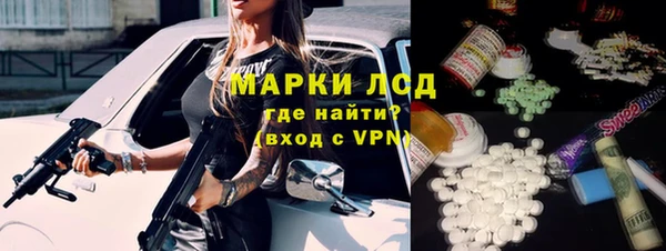 прущие грибы Аркадак
