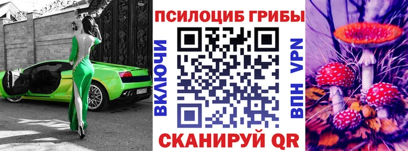 Галлюциногенные грибы прущие грибы  Купить закладки  Мосальск 